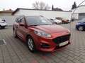 Ford Kuga 1,5 EcoBlue ST-Line Arancione - thumbnail 6