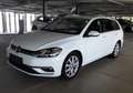 Volkswagen Golf VII Variant Highline 1.5 TSI DSG Navi LED AHK Bianco - thumbnail 6