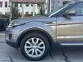 Land Rover Range Rover Evoque SE 2,0D / B2B Händlergeschäft Grau - thumbnail 4