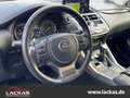 Lexus NX 300h EU6d*15 Jahre Garantie*CarPlay*Kamera* Weiß - thumbnail 7