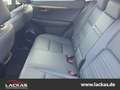 Lexus NX 300h EU6d*15 Jahre Garantie*CarPlay*Kamera* Weiß - thumbnail 10