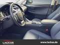 Lexus NX 300h EU6d*15 Jahre Garantie*CarPlay*Kamera* Weiß - thumbnail 6