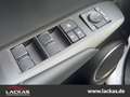 Lexus NX 300h EU6d*15 Jahre Garantie*CarPlay*Kamera* Weiß - thumbnail 14