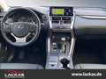 Lexus NX 300h EU6d*15 Jahre Garantie*CarPlay*Kamera* Weiß - thumbnail 11
