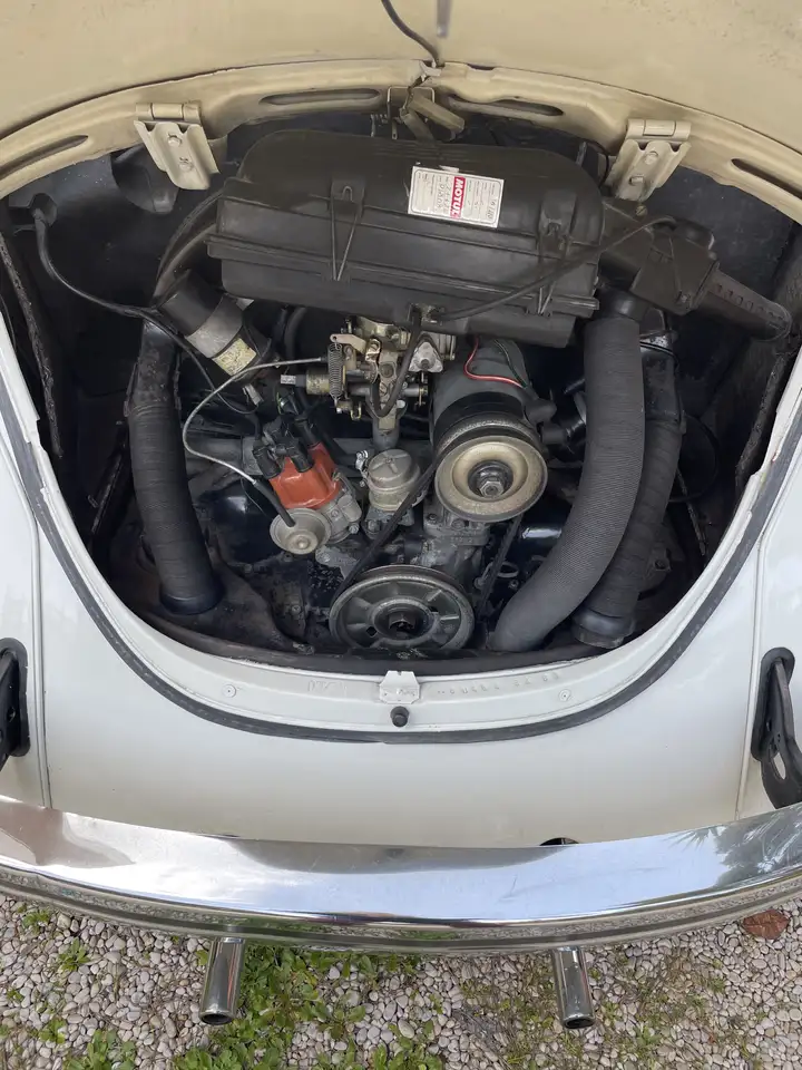 Volkswagen Maggiolino 1.2 L (messico), foto 3