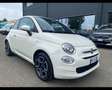 Fiat 500 1.0 hybrid Club 70cv Weiß - thumbnail 1