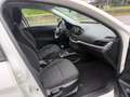Fiat Tipo Tipo 5 porte II 2016 5p 1.4 Easy 95cv my17 Blanco - thumbnail 11
