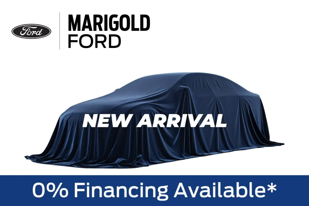 2026 Ford F 150