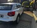 Audi Q2 basis Weiß - thumbnail 6