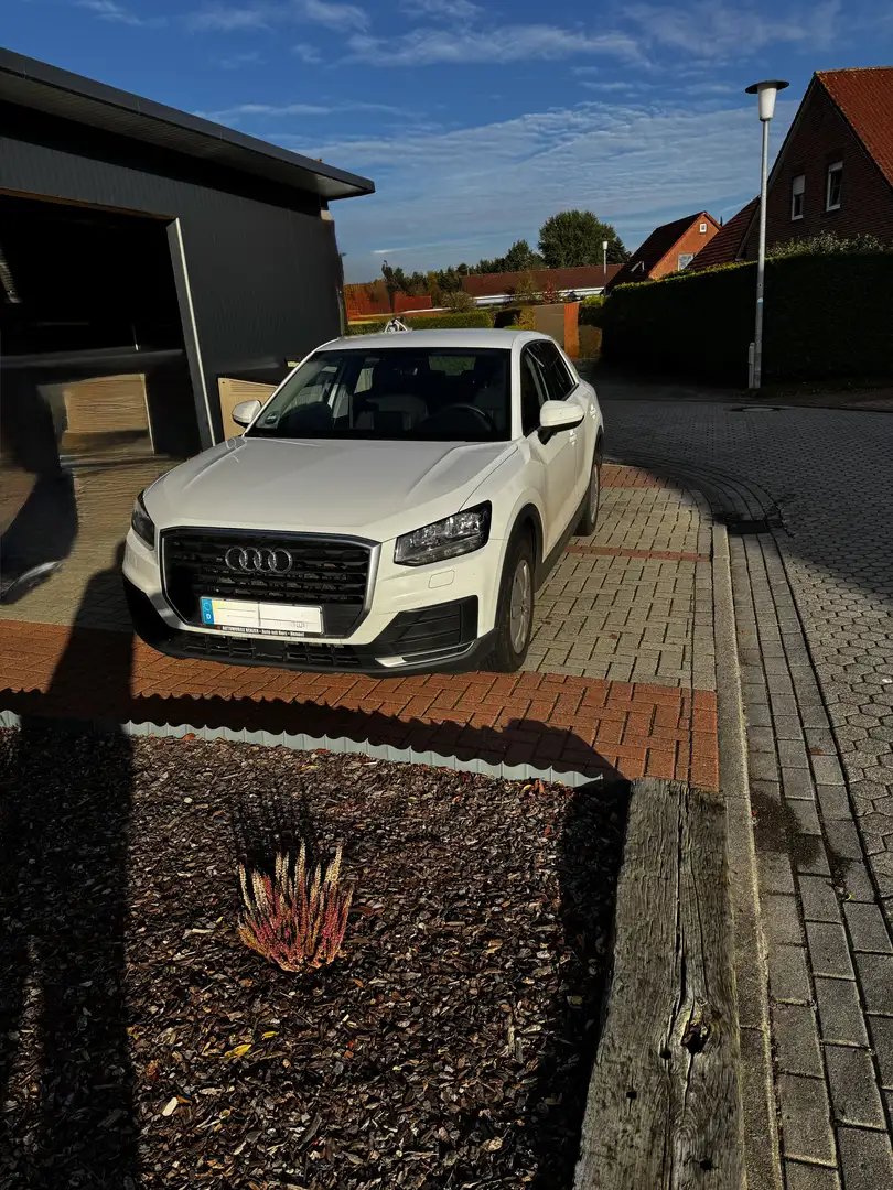 Audi Q2 basis Weiß - 2