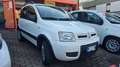 Fiat Panda 1.2 4x4 Grigio - thumbnail 3