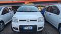 Fiat Panda 1.2 4x4 Grigio - thumbnail 2