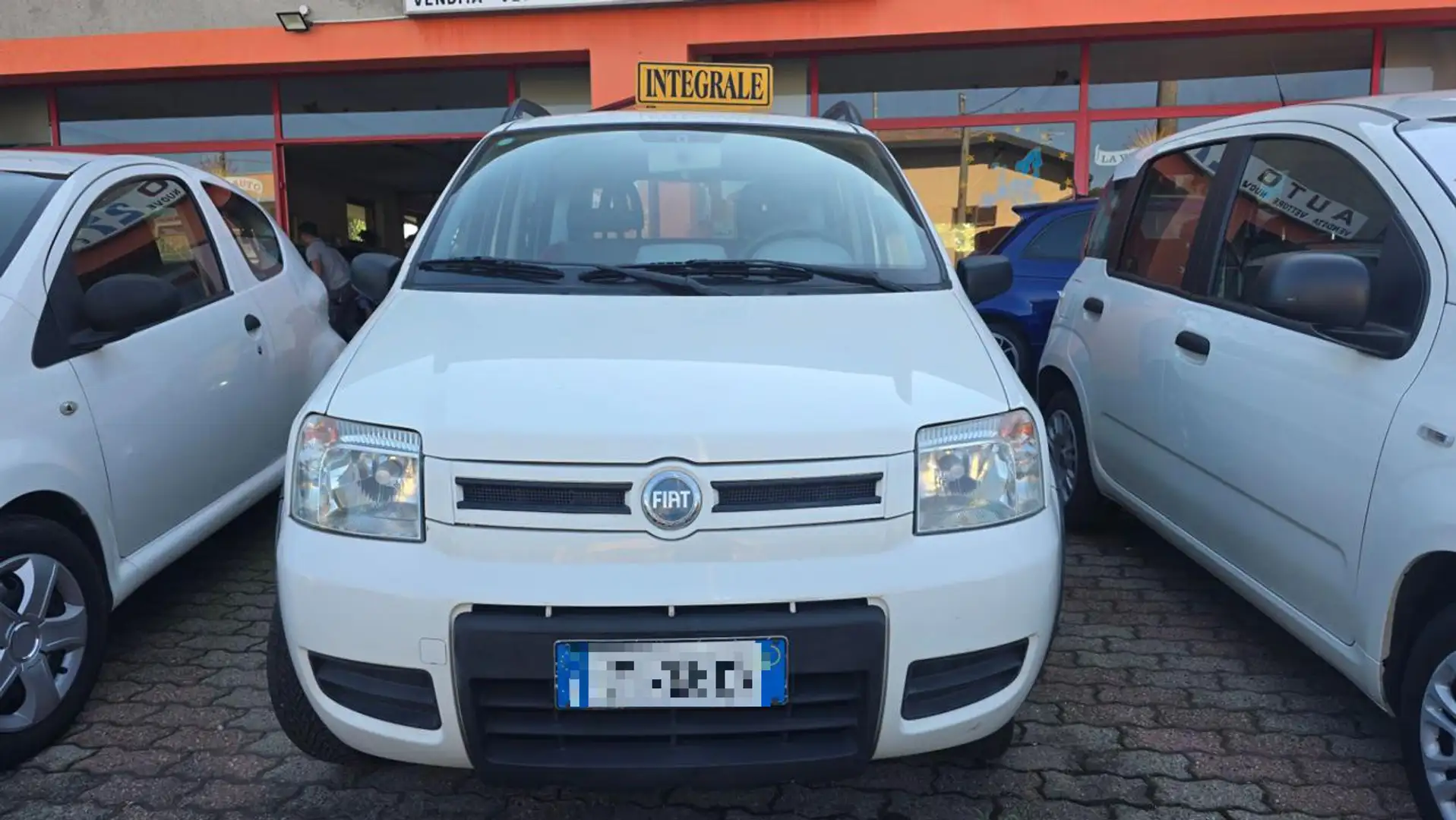 Fiat Panda 1.2 4x4 Grigio - 2