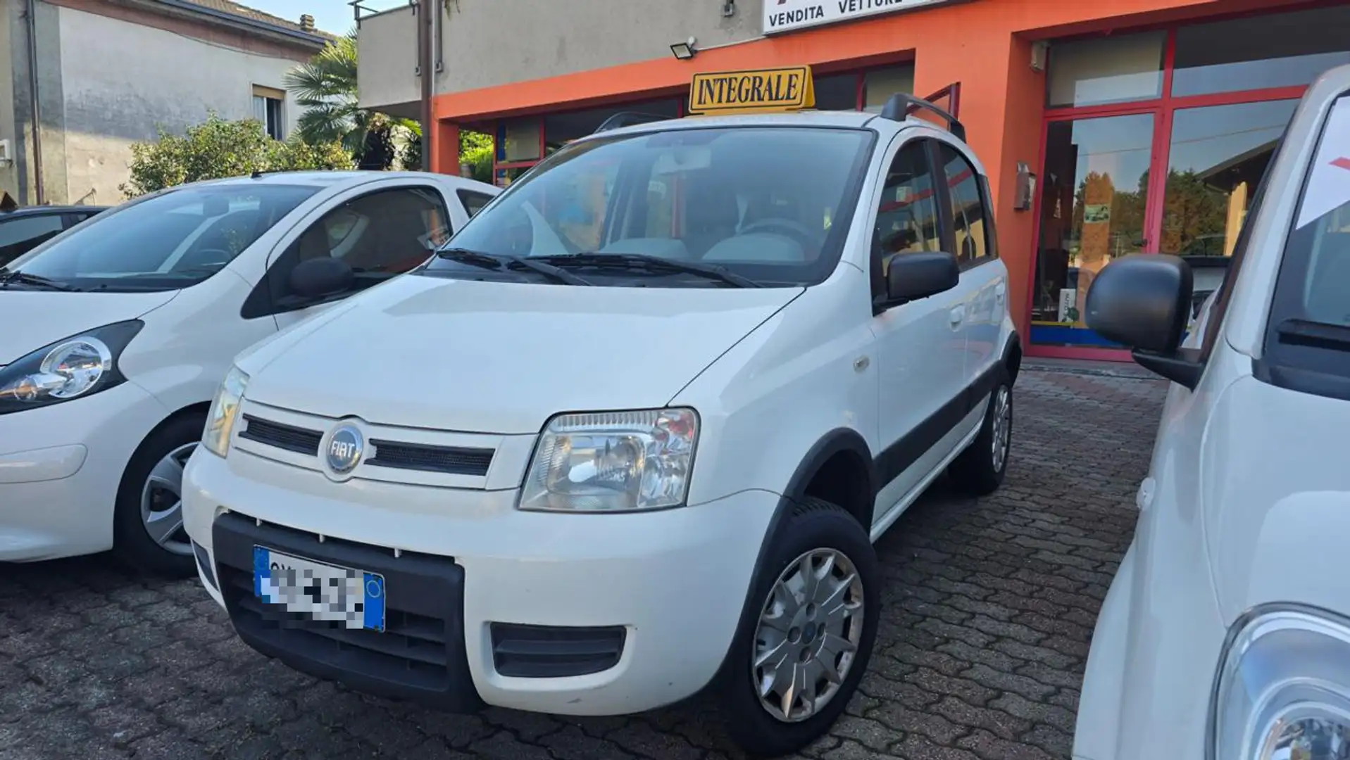 Fiat Panda 1.2 4x4 Grigio - 1