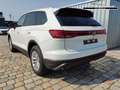 Volkswagen Touareg Limited 3.0 V6 TDI 4Motion Automatik-Anhängerku... Weiß - thumbnail 4