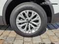 Volkswagen Touareg Limited 3.0 V6 TDI 4Motion Automatik-Anhängerku... Weiß - thumbnail 15