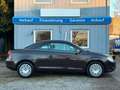 Volkswagen Eos 2.0 TDI DSG*1.Hand*Temp*Klima*Leder Braun - thumbnail 12