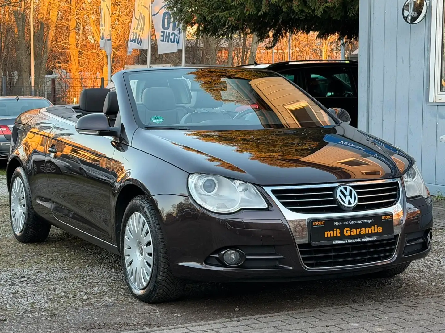 Volkswagen Eos 2.0 TDI DSG*1.Hand*Temp*Klima*Leder Braun - 1