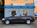 Volkswagen Eos 2.0 TDI DSG*1.Hand*Temp*Klima*Leder Braun - thumbnail 5