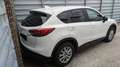 Mazda CX-5 Exclusive-Line AWD 4X4*Anhängerkupplung* Weiß - thumbnail 4