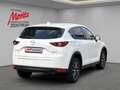 Mazda CX-5 2.2 Exclusive-Line 2WD HUD Navi 360 Kamera LED Dyn Weiß - thumbnail 3