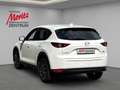 Mazda CX-5 2.2 Exclusive-Line 2WD HUD Navi 360 Kamera LED Dyn Weiß - thumbnail 2