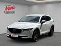 Mazda CX-5 2.2 Exclusive-Line 2WD HUD Navi 360 Kamera LED Dyn Weiß - thumbnail 1