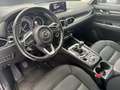Mazda CX-5 2.2 Exclusive-Line 2WD HUD Navi 360 Kamera LED Dyn Weiß - thumbnail 6