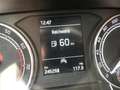 Skoda Fabia 1.0 Active *LPG-UMBAU* Weiß - thumbnail 13