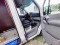 Volkswagen Crafter 30 Kombi 3 MR TDI Dalmatiner Mobile - thumbnail 2
