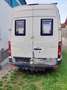 Volkswagen Crafter 30 Kombi 3 MR TDI Dalmatiner Mobile - thumbnail 4