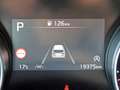 Kia Ceed SW / cee'd SW CEED SW 1.5T 140 DCT7 VISION NAVI KAMERA GANZJAHRE Gris - thumbnail 14
