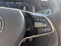Skoda Kamiq 1.0 TSI 110 CV ScoutLine Bianco - thumbnail 24