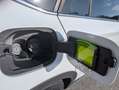 Skoda Kamiq 1.0 TSI 110 CV ScoutLine Bianco - thumbnail 14