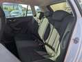 Skoda Kamiq 1.0 TSI 110 CV ScoutLine Bianco - thumbnail 17