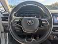 Skoda Kamiq 1.0 TSI 110 CV ScoutLine Bianco - thumbnail 23