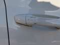 Skoda Kamiq 1.0 TSI 110 CV ScoutLine Bianco - thumbnail 18