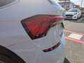Skoda Kamiq 1.0 TSI 110 CV ScoutLine Bianco - thumbnail 11