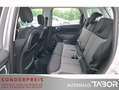 Fiat 500L 1.4 Lounge Pano SHZ LM Klima PDC HU 04/2026 - thumbnail 9