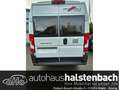 Malibu Van comfort 640 LE Fiat - thumbnail 3