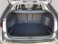 Skoda Octavia Combi Selection 2.0TDI DSG PANO Leder Gris - thumbnail 14