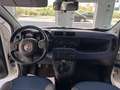Fiat Panda 1.2 Lounge Weiß - thumbnail 15