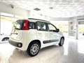 Fiat Panda 1.2 Lounge Blanc - thumbnail 4