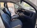 Fiat Panda 1.2 Lounge Weiß - thumbnail 14