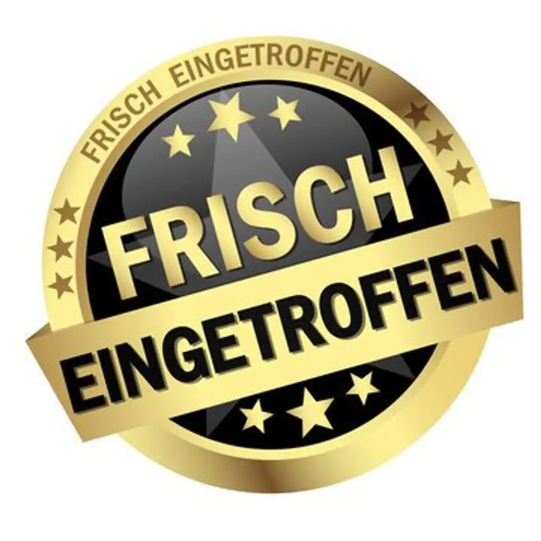 SEAT Ibiza Reference Viva/1-Hand/Klima/63Tkm. Grau - 1