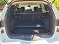 Renault Koleos Limited 4x4 190 dCI  - NAVI - KLIMAAUTOMATIK White - thumbnail 10