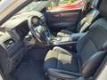 Renault Koleos Limited 4x4 190 dCI  - NAVI - KLIMAAUTOMATIK White - thumbnail 3