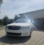 Skoda Octavia 1.2 TSI Elegance Weiß - thumbnail 2