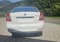 Skoda Octavia 1.2 TSI Elegance Weiß - thumbnail 6