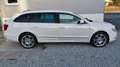 Skoda Superb Superb Combi 4x4 Elegance 2,0 TDI CR DPF Elegance Weiß - thumbnail 4